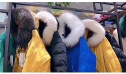 杭州罗女士最新爆料,揭秘事件背后惊人真相