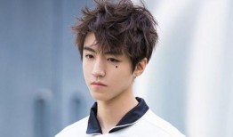 成毅主播爆料最新消息,娱乐圈最新动态大揭秘！