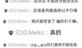 meiko最新爆料,电竞圈幕后故事大公开