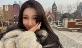 晋江阿香爆料事件最新,真相与争议交织的娱乐圈风云