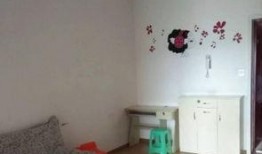 重庆精装房爆料事件最新,揭露装修陷阱，业主权益受损真相曝光