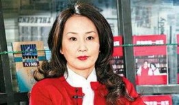 娱乐最新爆料李文,娱乐圈新爆料揭秘，真相背后引热议