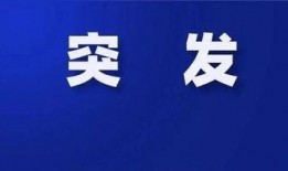 裁员最新爆料新闻报道,最新爆料揭露企业大规模减员真相