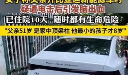 比亚迪电车事件最新爆料,揭秘事故真相与安全疑云