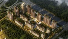 临沂东岸最新爆料,揭秘神秘项目背后的故事