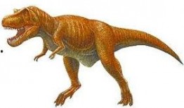 霸王龙最新爆料,最新考古发现揭示史前巨兽的神秘面纱