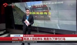 沧州爆料最新事件新闻,聚焦热点事件追踪