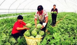 临夏吃瓜爆料最新事件,最新事件引发热议，真相究竟如何？”