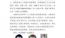 四川枪击案爆料新闻最新,悲剧背后真相逐步浮出水面