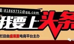 雷州大爆料头条新闻最新,最新头条新闻揭秘惊人内幕！
