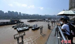 重庆洪水最新爆料新闻,城区告急，全力抗洪救灾进行时