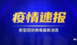 雷州大爆料头条新闻最新,最新头条新闻揭秘惊人内幕！