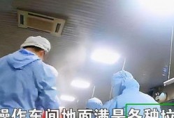 配餐爆料视频大全最新,视频大全带你领略美食新风尚