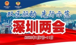 深圳二胎爆料新闻最新,最新爆料揭示生育福利新动向