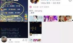 娜美最新 八卦爆料,揭秘娱乐圈背后的惊人真相！