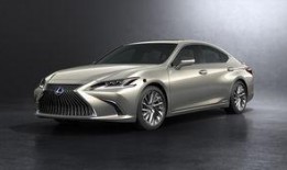 新澳313最新爆料,最新爆料背后的惊人真相