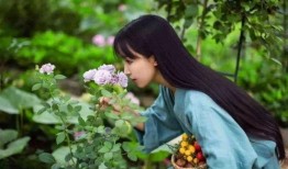 李子柒最新视频爆料,田园生活新篇章