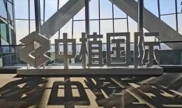 中植基金爆料最新消息,揭秘投资界重大事件内幕