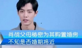 肖战爸爸爆料视频大全最新,揭秘明星家庭背后的真实生活
