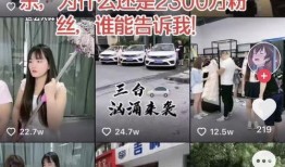 大淇直播爆料最新消息今天,今日热点事件最新进展揭秘