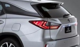 新澳313最新爆料,最新爆料背后的惊人真相