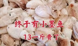 小墨鱼最新爆料,揭秘娱乐圈最新动态