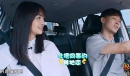 被前男友爆料视频最新,揭秘娱乐圈背后的真相