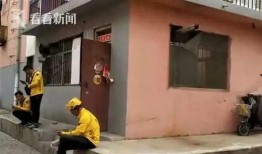 秦皇岛外卖爆料事件最新,食品安全问题引发公众关注