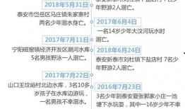 暑假最新爆料新闻事件,揭秘最新暑期事件背后的真相
