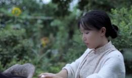 李子柒最新视频爆料,田园生活新篇章