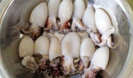 小墨鱼最新爆料,揭秘娱乐圈最新动态