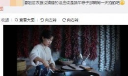 李子柒最新视频爆料,田园生活新篇章